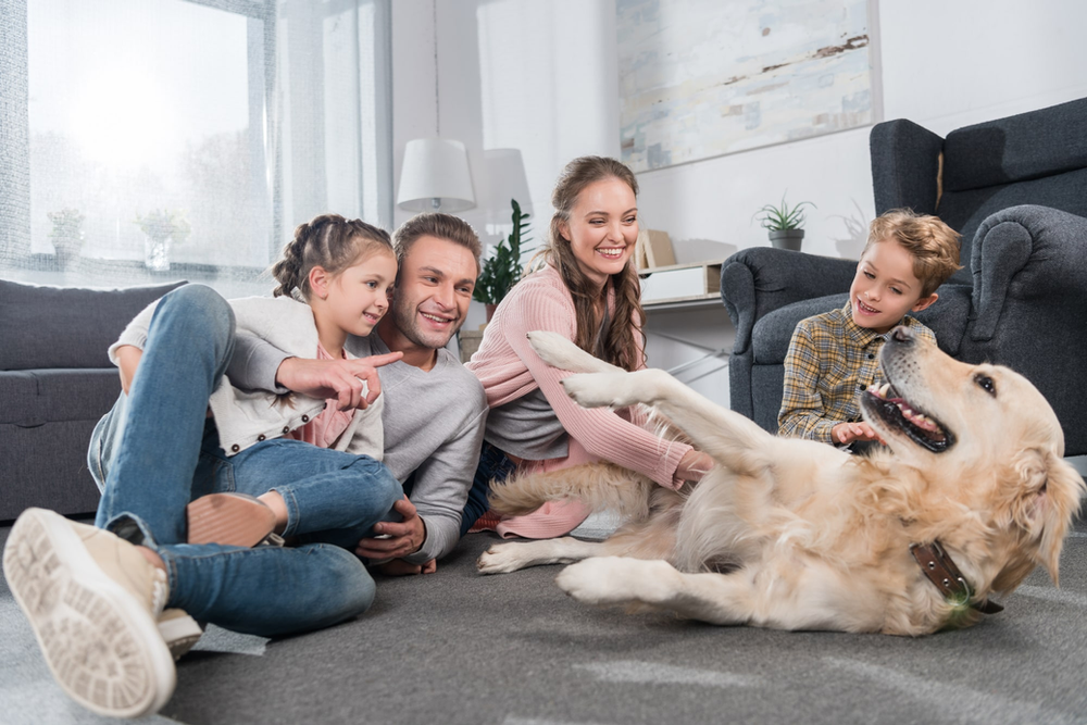 a happy family sitting on carpet floors with a golden retriever enjoying excellent indoor air quality